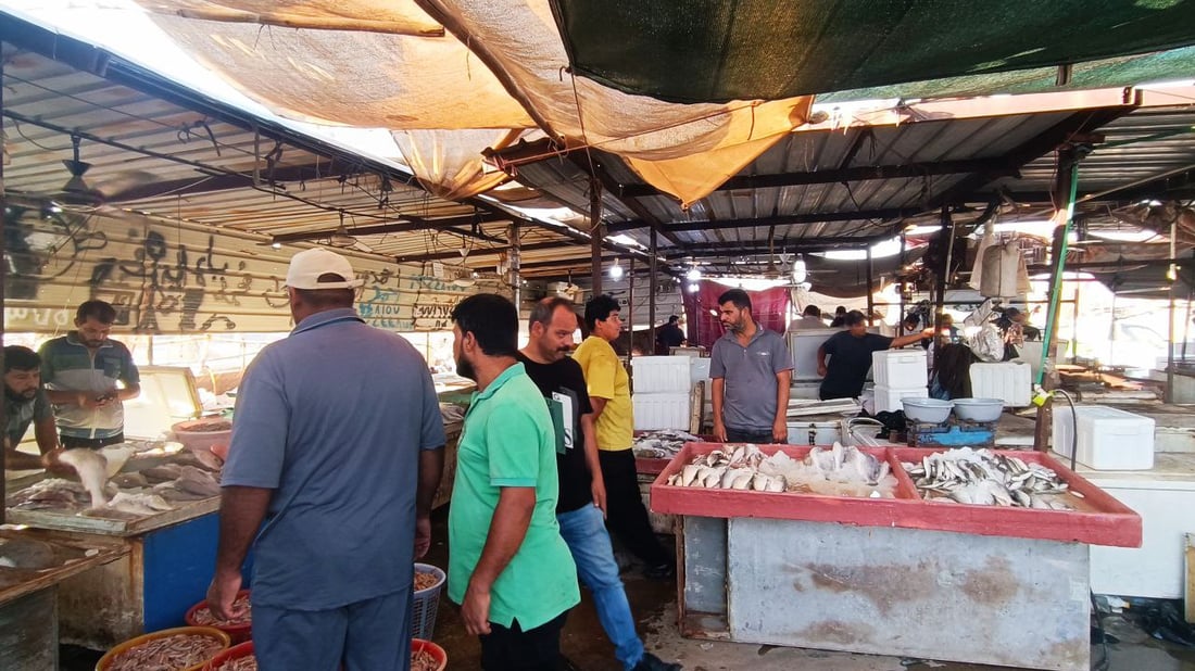 السلمون البرتقالي وصل.. صور وقائمة بأسعار سمك البحر في الفاو