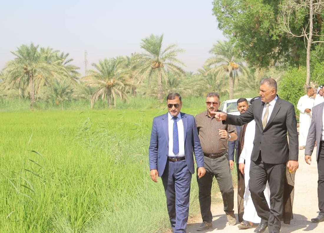 “درون” لرش السماد فوق حقول العنبر.. “فاو” تساعد فلاحي النجف على تقليل الكلفة