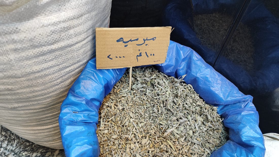 السوريون في كربلاء كأنهم في الوطن.. “سيدة الشام” سيوفر حتى سجائر “الحمراء” (صور)