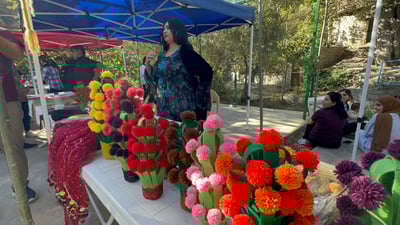 “شوێنێک نییە بەرهەمەكانمی لێ ساغ بکەمەوە”