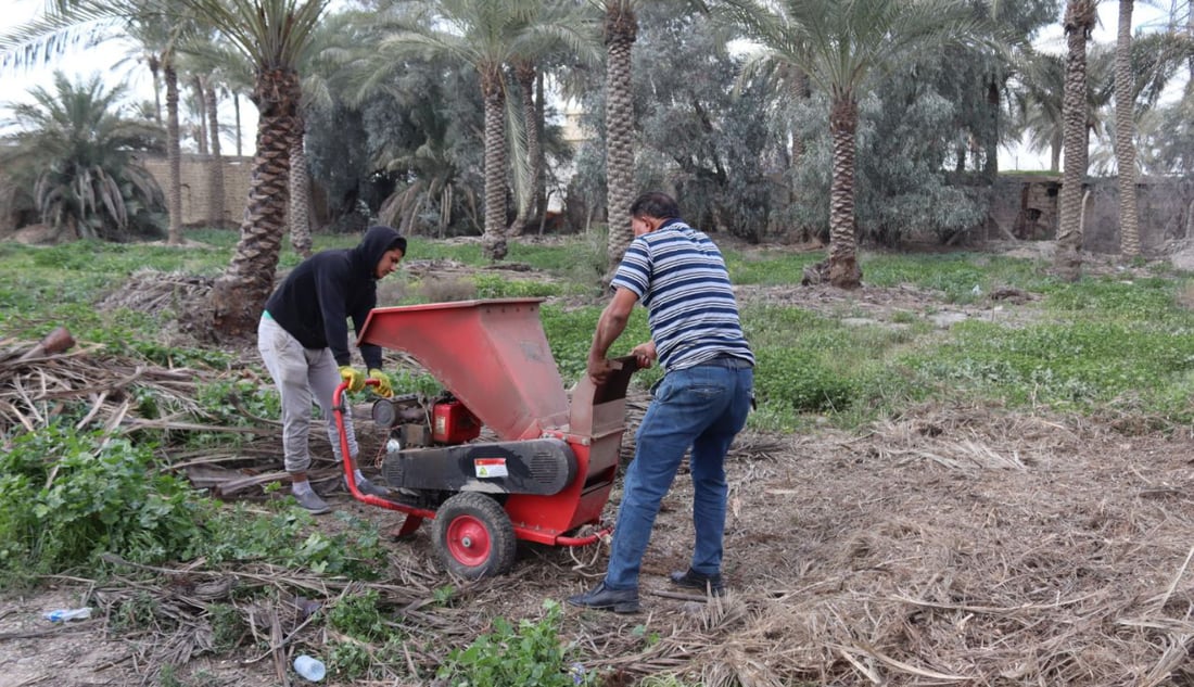 سماد طبيعي من سعف النخيل.. صحي بلا كيمياويات وهكذا تنتجه التاجي (صور)