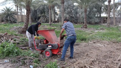 سماد طبيعي من سعف النخيل.. صحي بلا كيمياويات وهكذا تنتجه التاجي (صور)