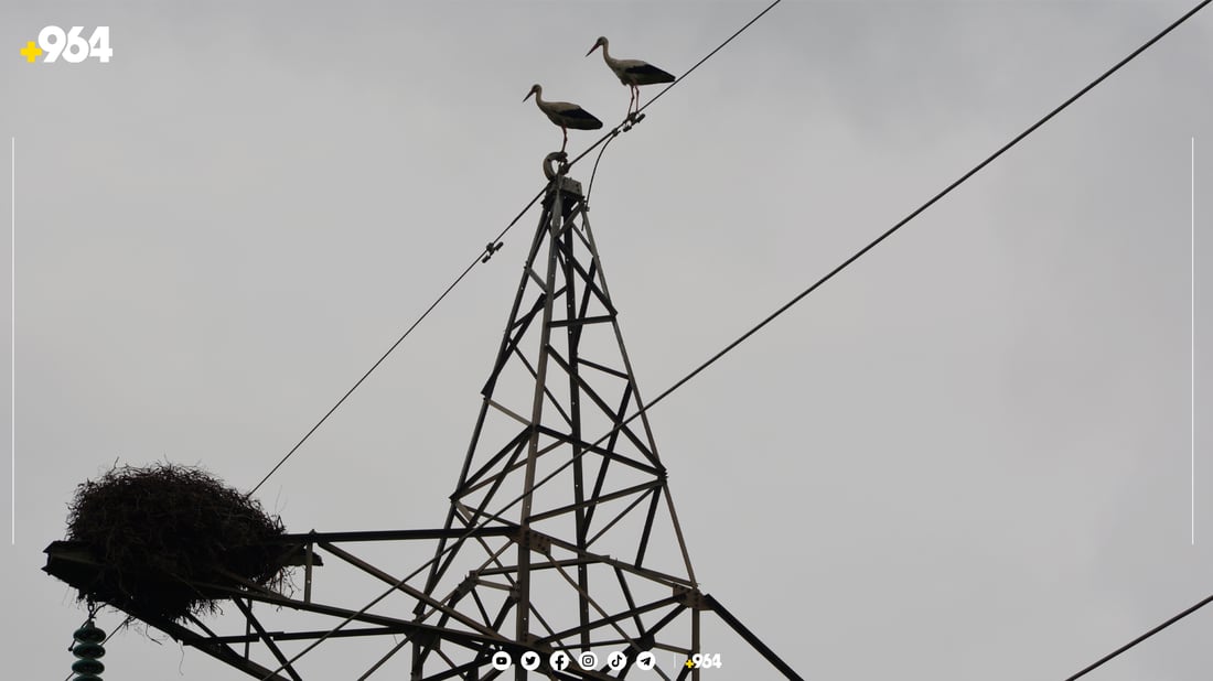 لەق لەقەکانی گوندی باریکە