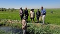 Dhi Qar farmers revive amber rice as water supplies improve