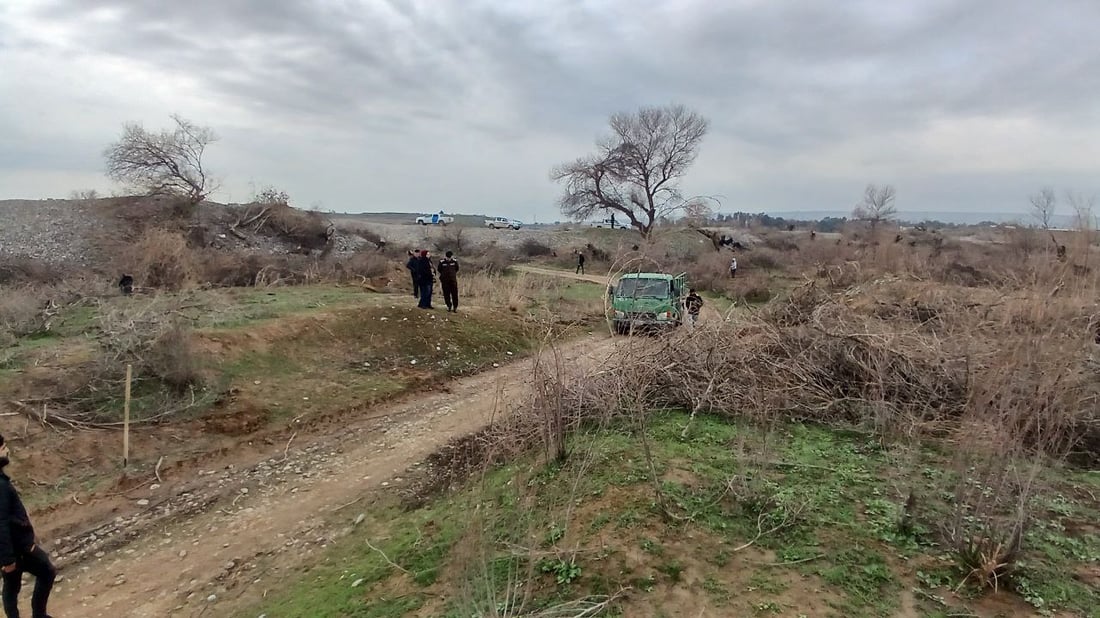 غابات قرة بك تعود مجدداً.. حرق شواطئ الزاب يواجه بحملة تشجير (صور)
