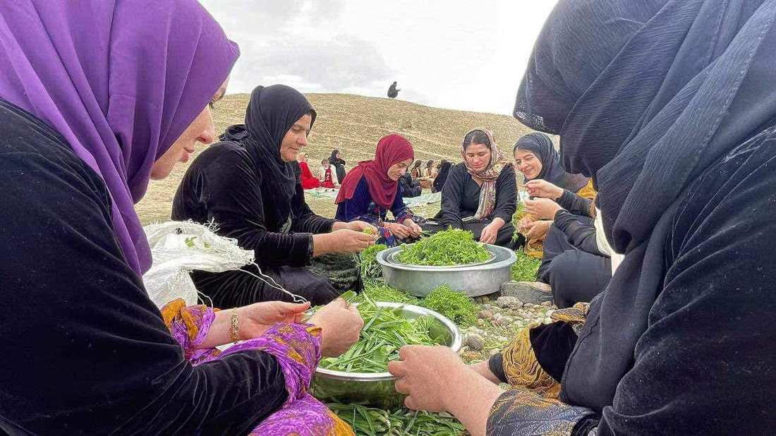 صور: قدور كبيرة وولائم جنوب السليمانية.. عاد الماء إلى القرية بمنحة ألمانية
