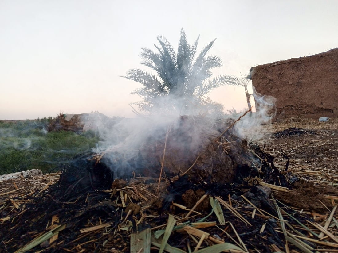 964mediaصورة من منصة (شبكة): 