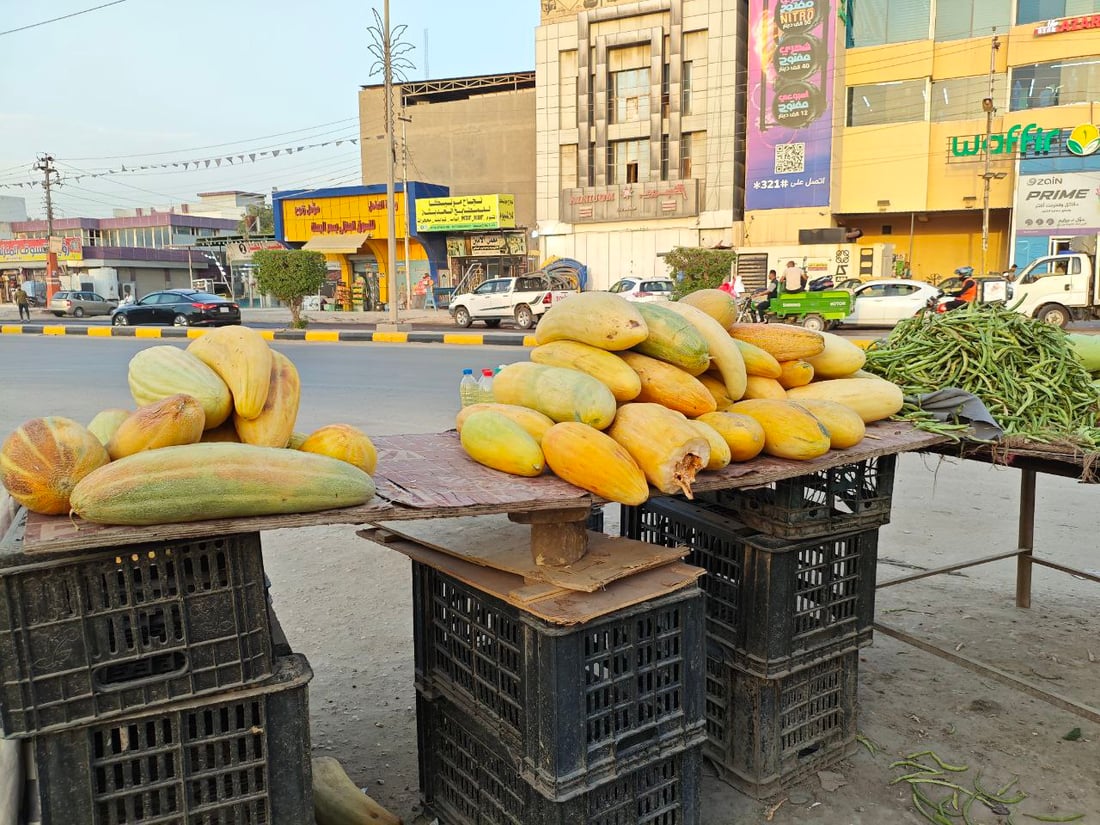 صور: هذا ليس بطيخاً ولا “عطروزي”.. سوق الحلة يحتفل بـ”السابوري” أو “خيار الماء”