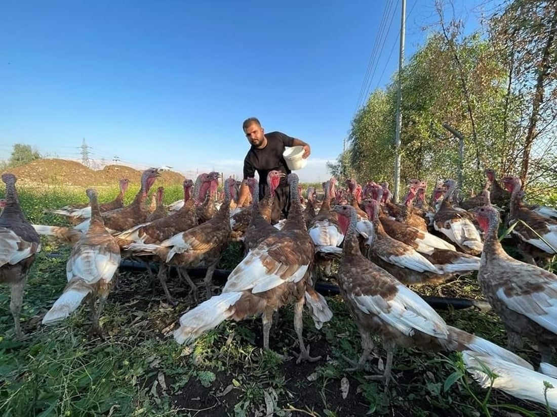 گه‌نجێكی سه‌یدسادق ده‌یه‌وێت “قه‌لى سوور” بكاته‌ پڕۆژه‌یه‌كی گه‌وره‌