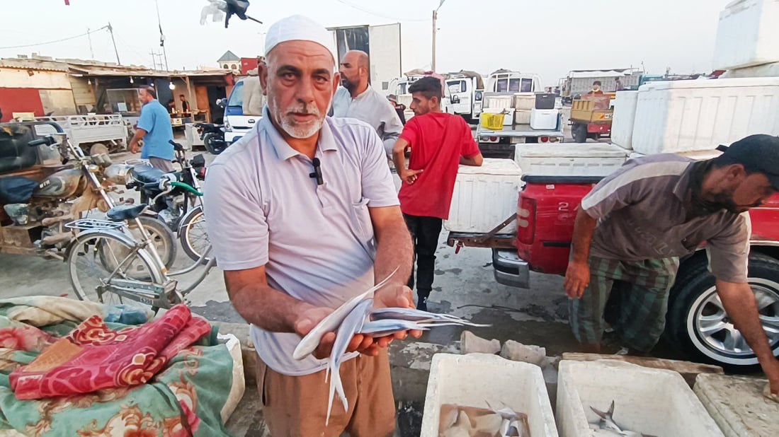 صور من مزاد النقعة الجمعة.. الصبور بـ55 والزبيدي بـ25 ألف دينار والروبيان متوفر