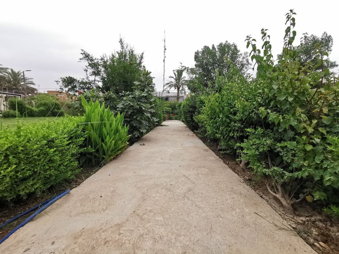 أعطى مفتاحاً لكل عائلة.. شاب كوفي ينشئ للجيران حديقة غنّاء ويحيطها بأبواب محكمة