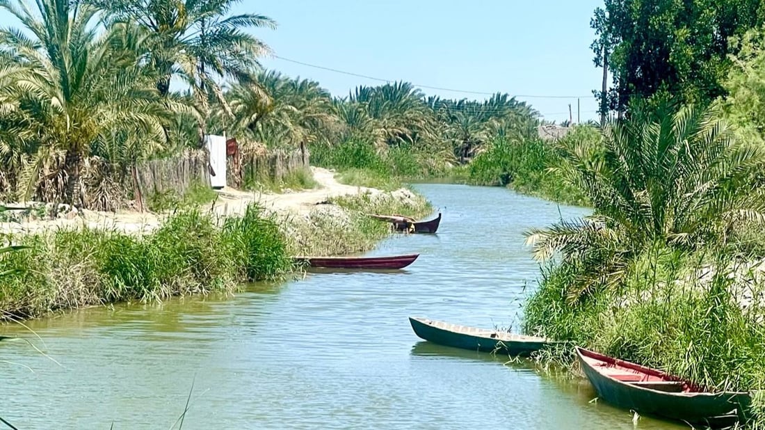 صور من روعة الطبيعة شمال البصرة.. السفرات تبدأ إلى نهر الداير مع برودة الطقس