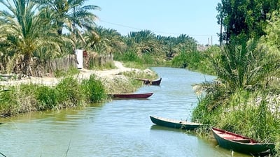 صور من روعة الطبيعة شمال البصرة.. السفرات تبدأ إلى نهر الداير مع برودة الطقس