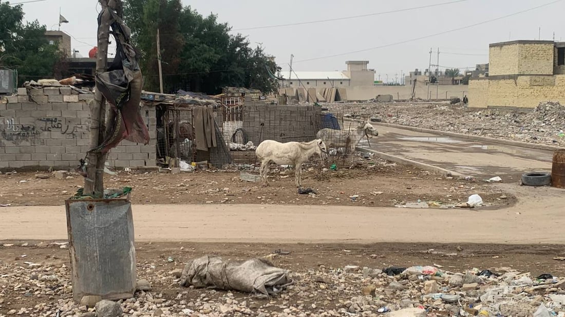 صور مع “عرب السجة” في بغداد.. يعملون بإعادة التدوير ويركبون الحمير وسمعتهم طيبة