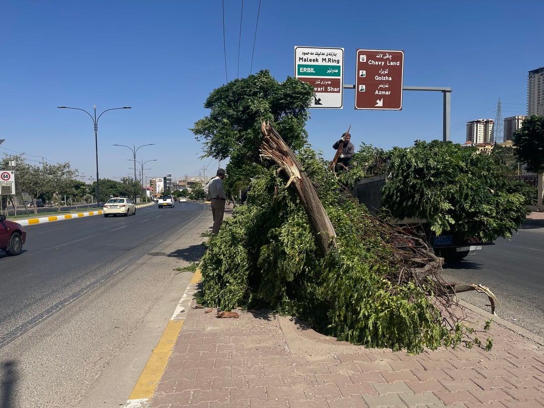 صور من عاصفة السليمانية المدمرة.. طرحت أشجار السبحبح أرضاً