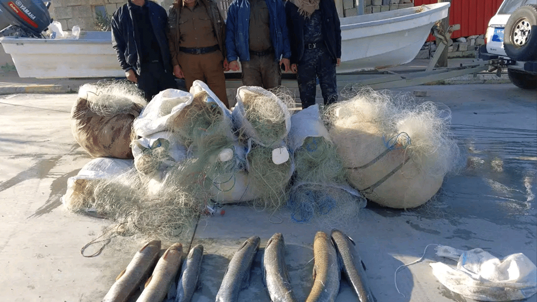 له‌ ئاوى دوکان ده‌ست به‌سه‌ر ژماره‌یه‌ك تۆڕى ماسیدا گیرا