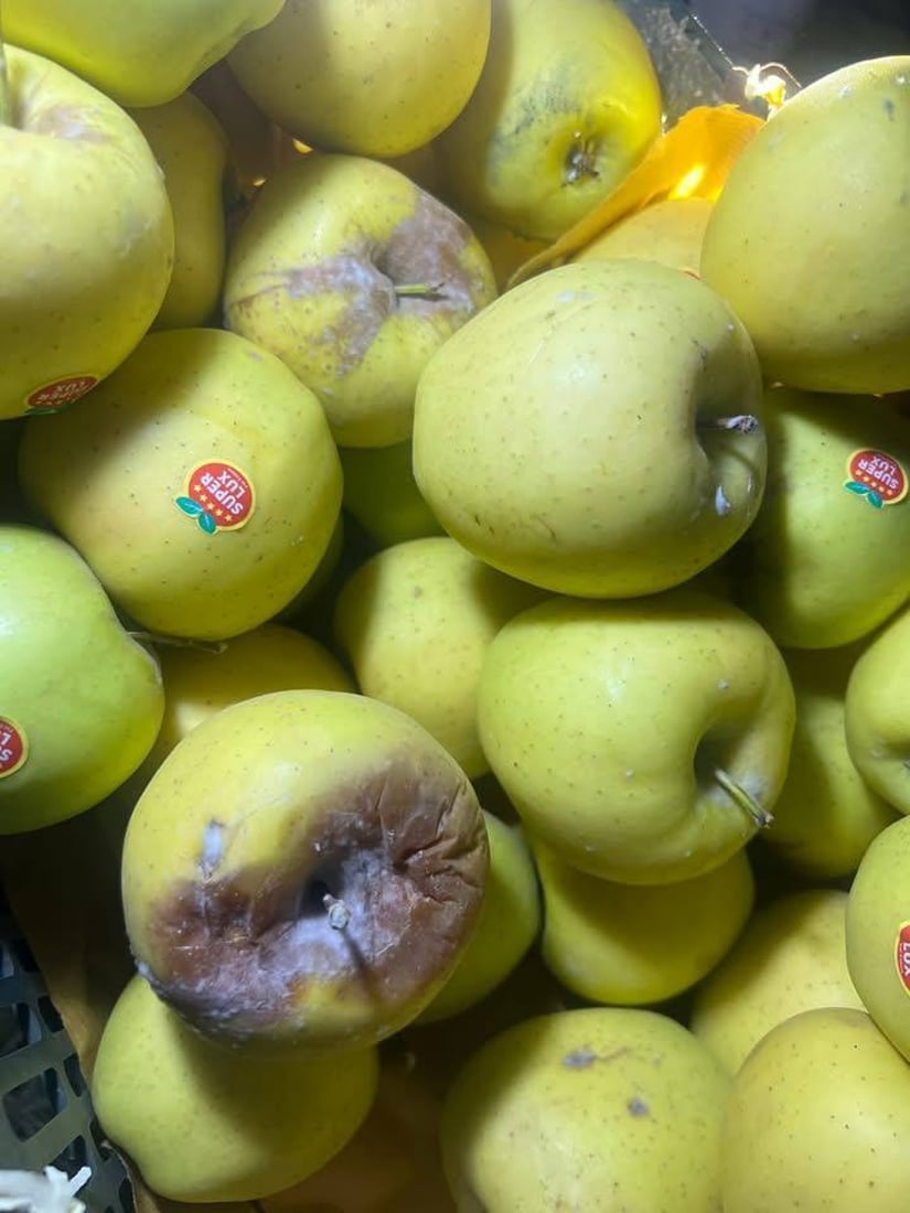 لە دەروازەی کێلێ 10 تۆن سێوی خراپبوو دەستى بەسەرداگیرا