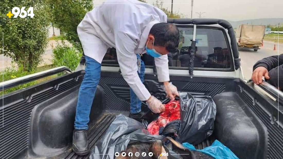لە هەڵەبجە 150 کیلۆ گۆشت دەستی بەسەردا گیرا