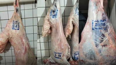 ڤێتێرنەریی راپەڕین مۆرەکەی گۆڕیوە