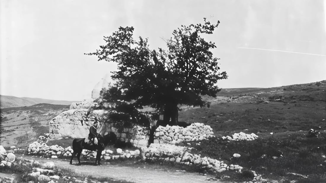 ئه‌مڕۆ له‌ناو ئێزدییه‌كاندا باس باسی له‌ناوچوونى دارێكی پیرۆز بوو