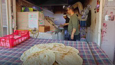 رۆژانەی وەستایەک