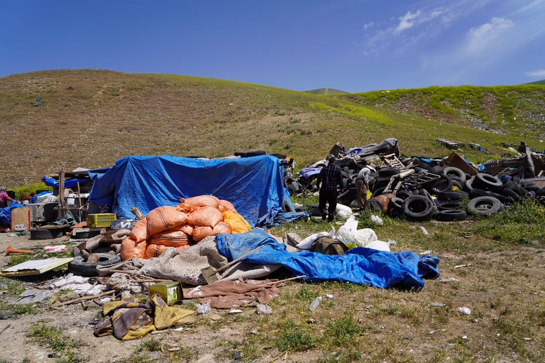 شارەوانی سلێمانی ژمارەیەک گەوەڕ لە دەورووبەری شار لادەبات