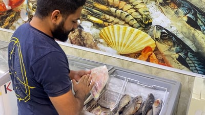 العمارة تتجه أكثر إلى أسماك البحر.. مركزان لتوزيع صيد الفاو وخور عبدالله
