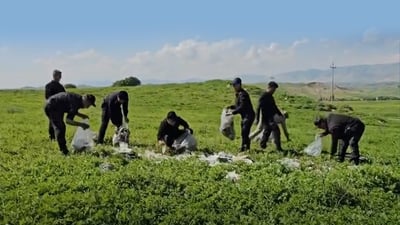 دەزگا ئەمنییەکانی هەریر شەش سەیرانگای قەزاکەیان پاککردەوە