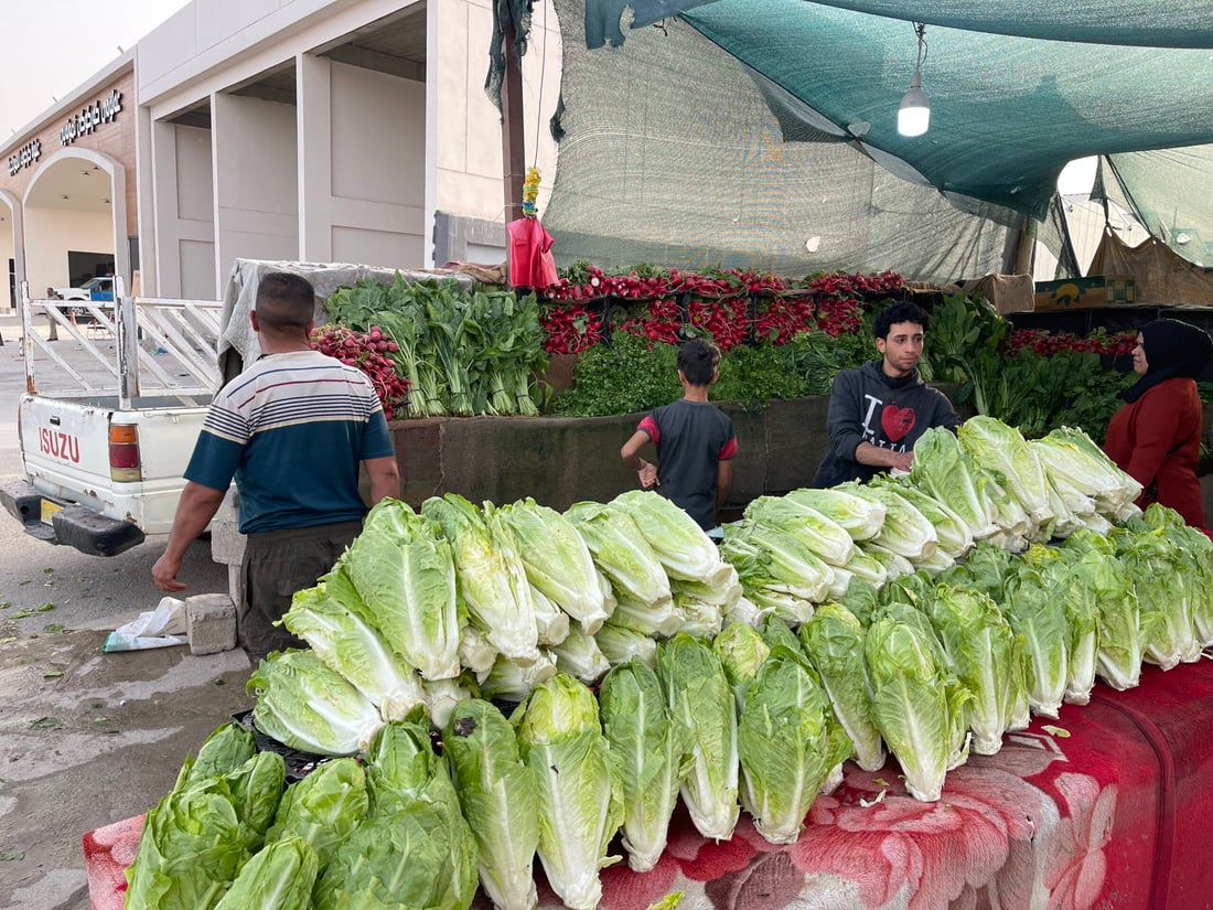 علوة كركوك: الباميا العراقية “مغرورة” بـ4 آلاف.. والمشمش يختفي بسرعة (صور)