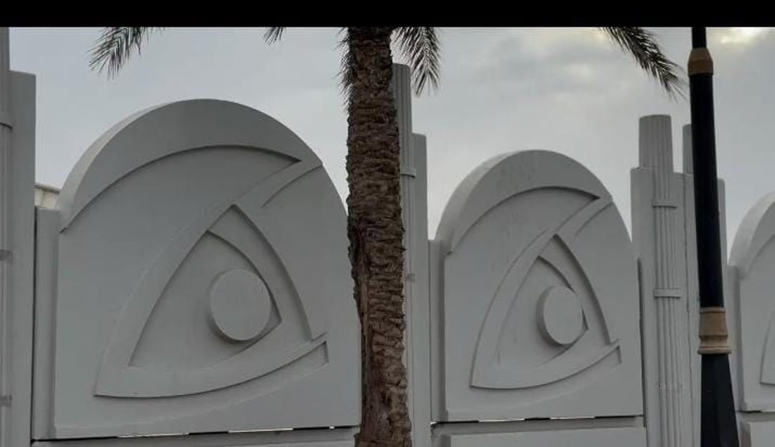 Basra municipality defends palm tree removal amid red weevil infestation