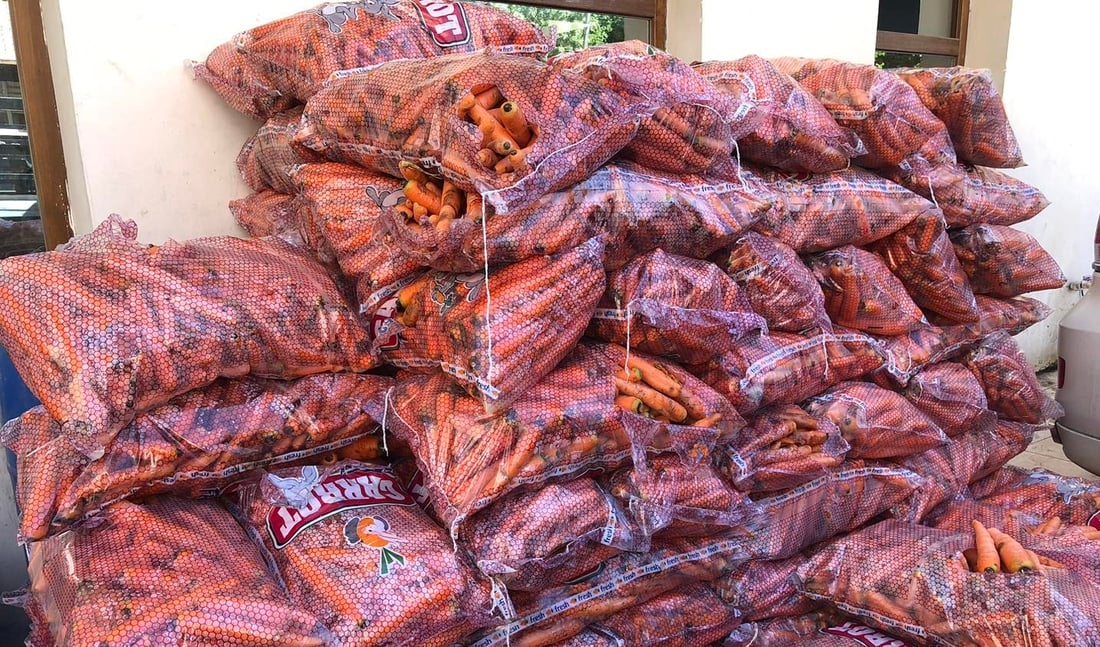 لە سلێمانی دەست بەسەر سێ تۆن و 750 کیلۆ گێزەری خراپبوودا گیرا
