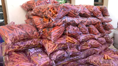 لە سلێمانی دەست بەسەر سێ تۆن و 750 کیلۆ گێزەری خراپبوودا گیرا