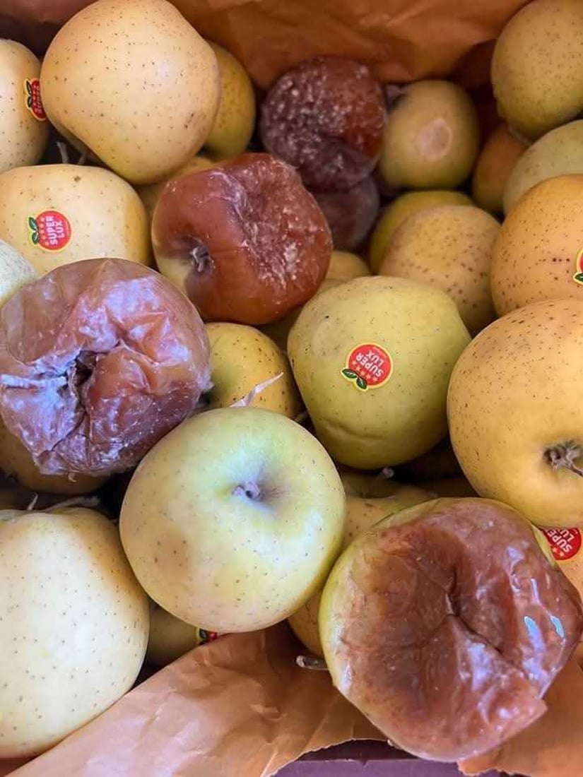 نزیکەی نۆ تۆن سێوی گەنیو لە مەرزی کێلێ دەستی بەسەرداگیرا