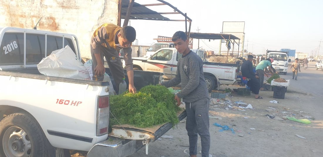 صور: بعد الكمأ.. “رشاد البر” يغزو أسواق الخضروات في المثنى