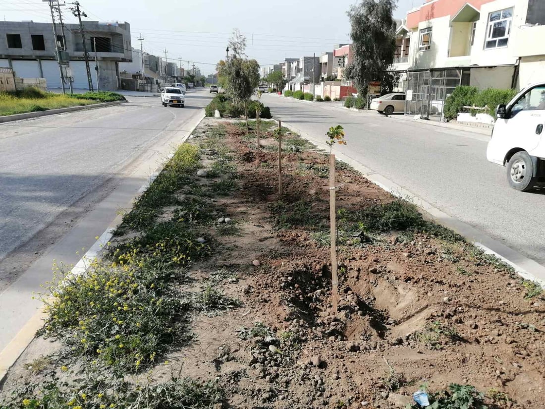 دار و گوڵەكانی جووت سایدی بنەسڵاوە سەرپەلكران