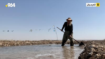 لە گەرمیان ساڵ ساڵی برنجە