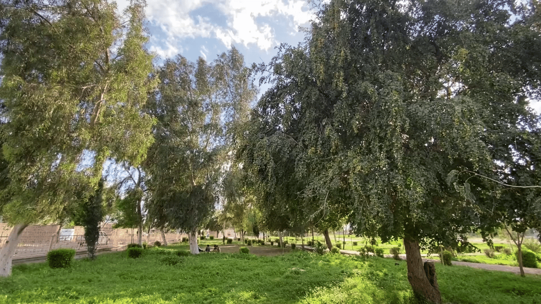 غداً.. درجات ثلاثينية في أربيل والسليمانية ودهوك