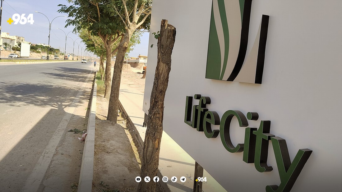 له‌ كه‌لار بۆ تابلۆیه‌كی ریكلام چه‌ند دارێك له‌ناوده‌برێن