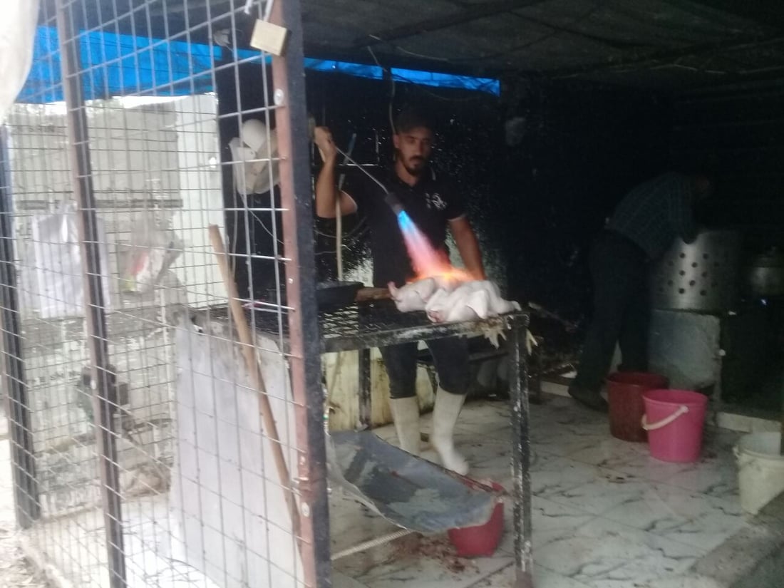 دجاج آلتون كوبري ينخفض إلى 2500.. اللحم والسمك يحلقان بعد ردم البحيرات والنزفية