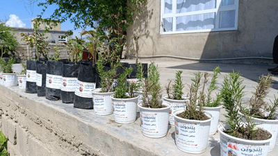 300 نەمام و گوڵ وەک جەژنانە دابەش دەکەن