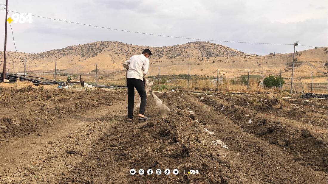 نیشانەی کۆتاییهاتنی وەرزی کشتوکاڵ دیاری دا