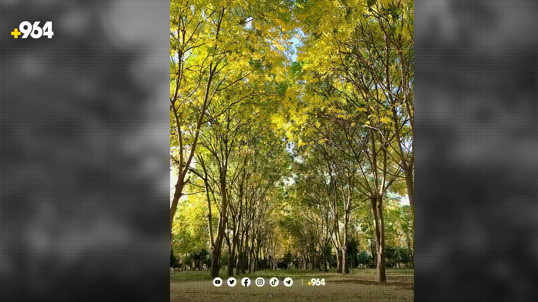 هەولێر چارەسەری وشکبوونی پارکەکانی کرد