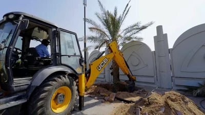 صور: “سوسة” تضرب محيط المدينة الرياضية.. البلدية اقتلعت الآفة والنخيل