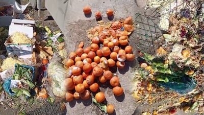 زبڵێکی زۆر لە عەلوەی کەلار کۆبووەتەوە