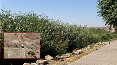 شاره‌وانى ته‌قته‌ق قامیشی سه‌ر لێواره‌كانى زێى گه‌وره‌ پاكده‌كاته‌وه‌