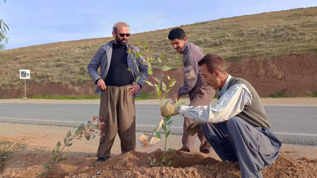 له‌ شوێن نه‌مامه‌ وشكبووه‌كان به‌ درێژایی 24 كیلۆمه‌تر نه‌مامیان له‌ چه‌مچه‌ماڵ  چانده‌وه‌