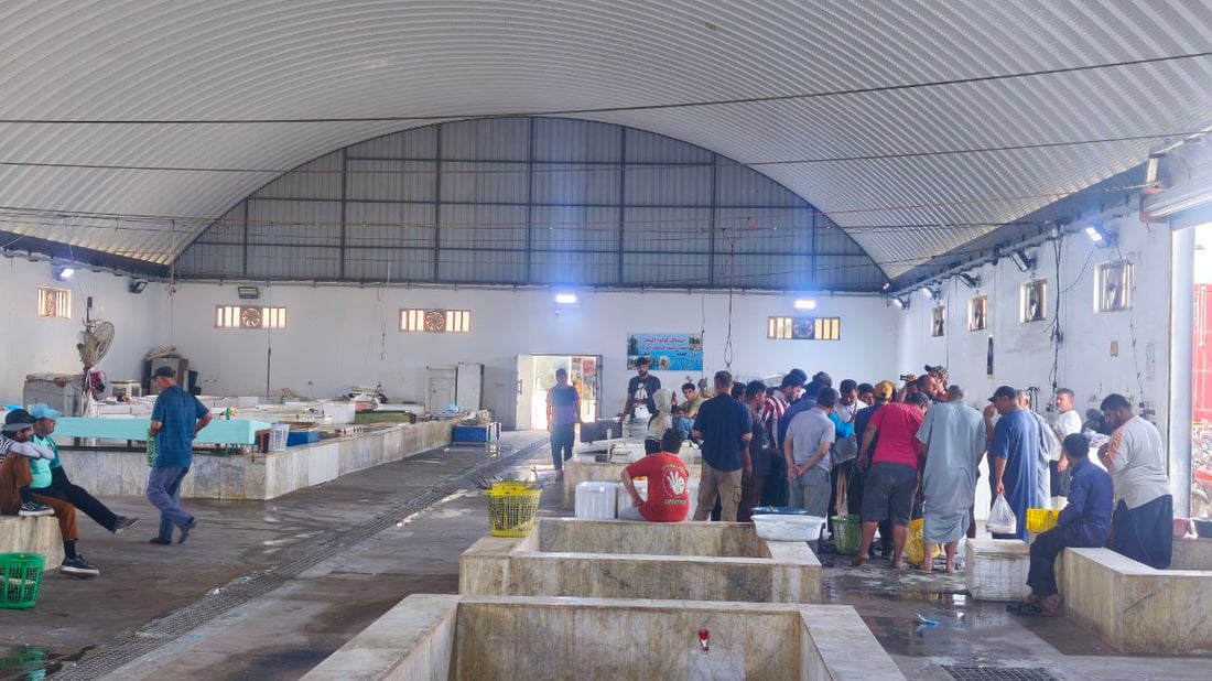 أخيراً وصل سمك “الشماهي” إلى مرسى النقعة.. الكمية نفدت فور وصولها (صور)