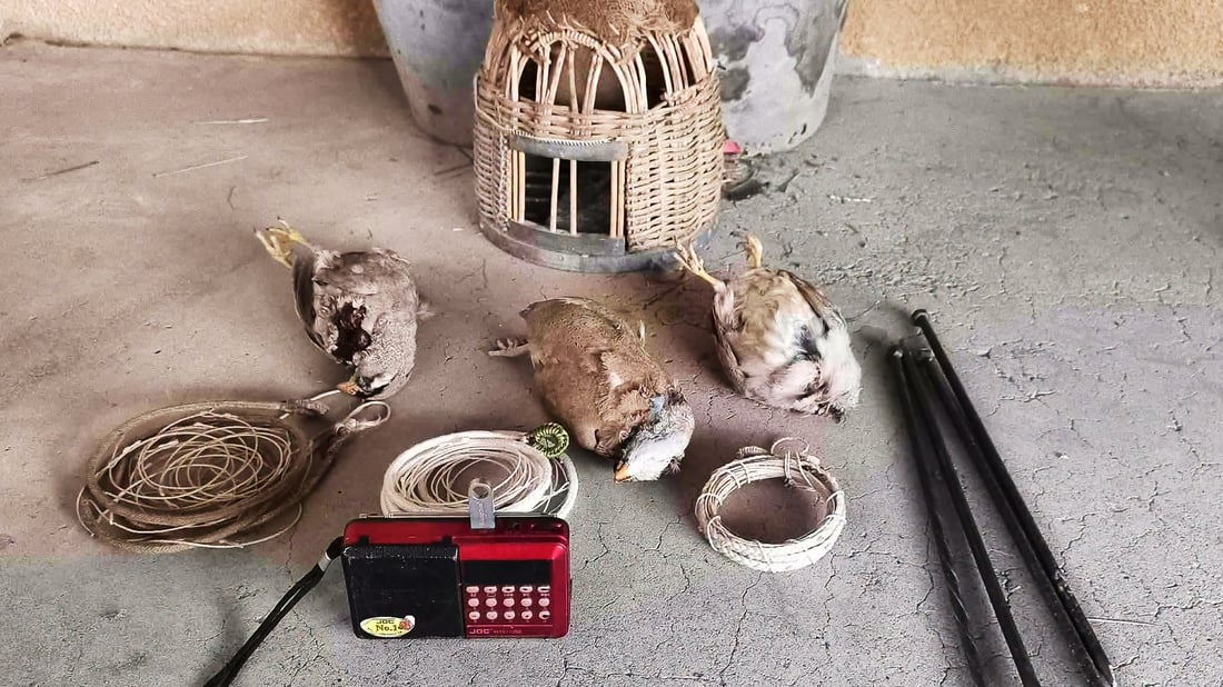 لە گوندێکی سەنگاو دوو راوچی دەستگیرکران