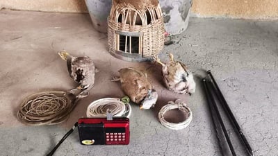 لە گوندێکی سەنگاو دوو راوچی دەستگیرکران