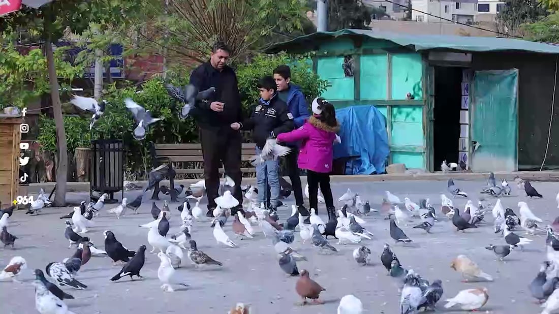 الإعاقة شجعته لشراء ألف طير.. الحمائم “تطعم” مربيها في دهوك (صور)